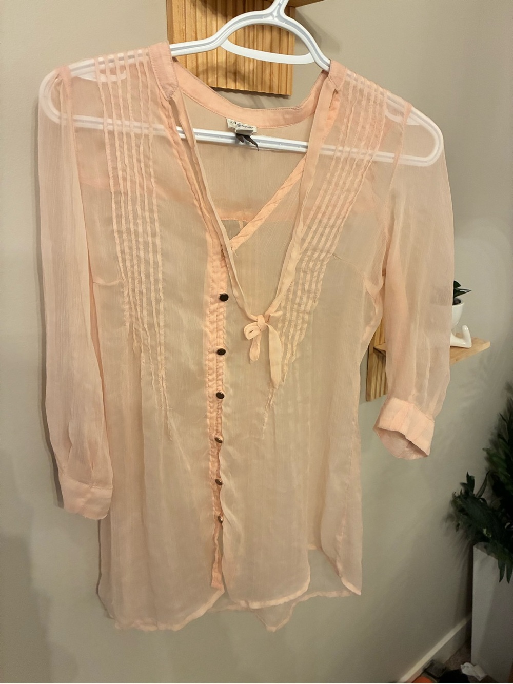 Sheer light pink Dynamite Blouse (2010’s)
